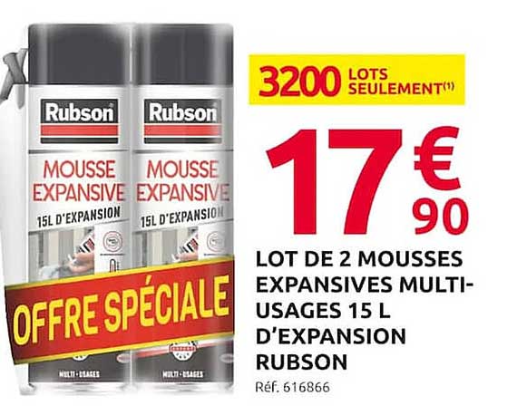 Lot De 2 Mousses Expansives Multi-usages 15 L D'expansion Rubson
