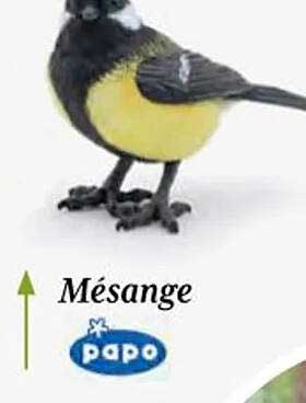 mésange papo