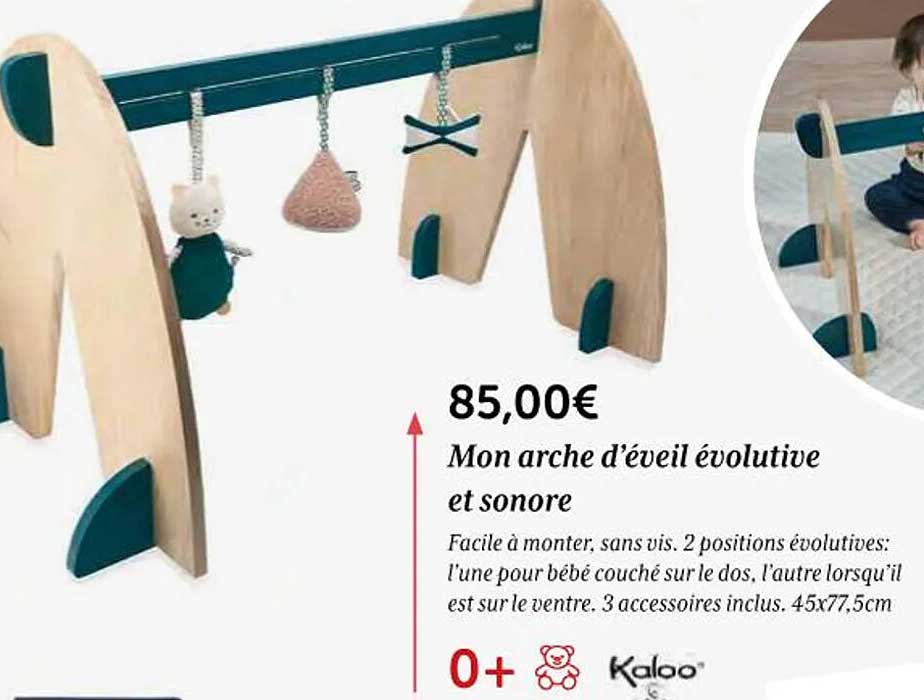 mon arche d'éveil évolutive et sonore kaloo