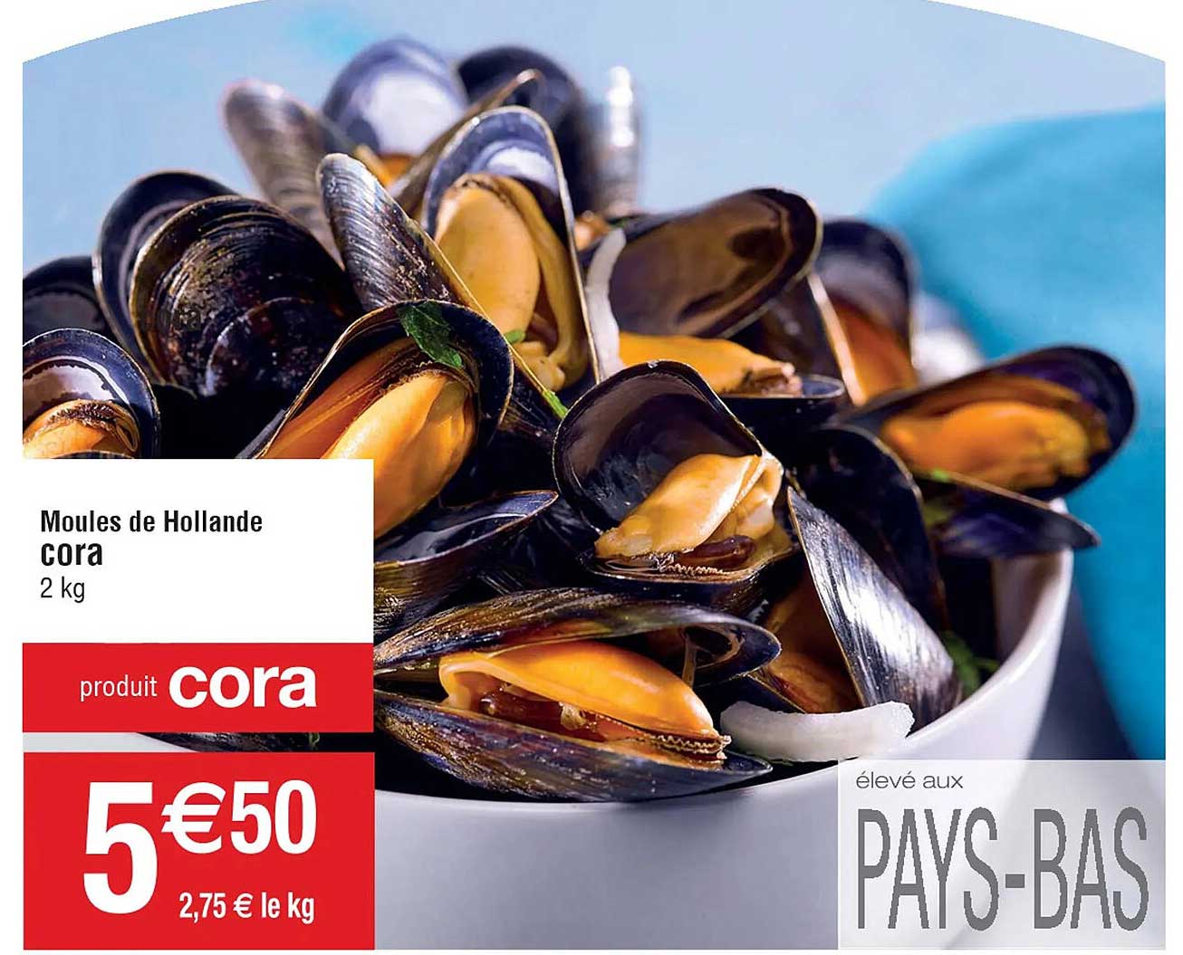 moules de holland cora