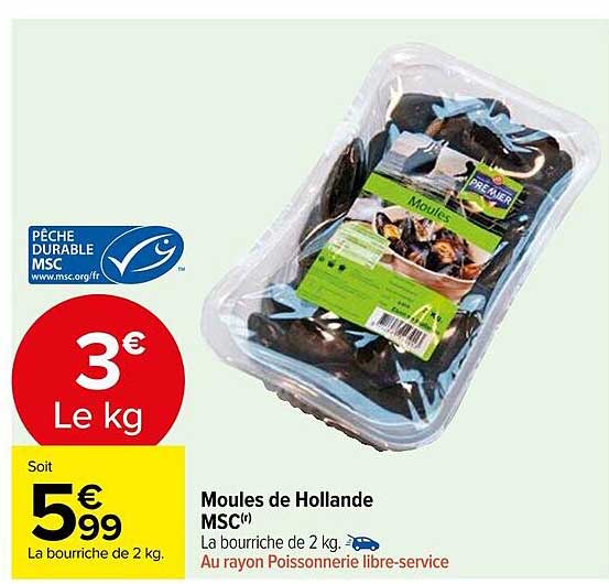 moules de holland msc