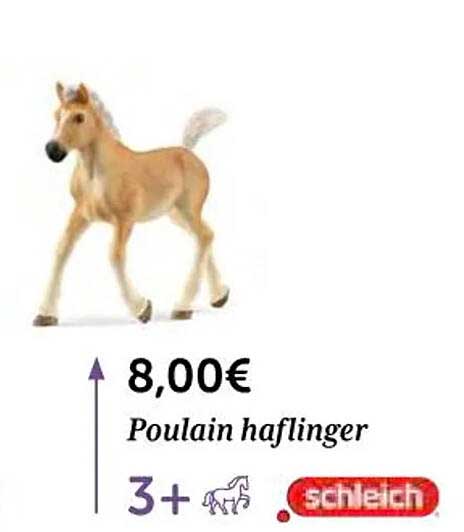 poulain haflinger schleich