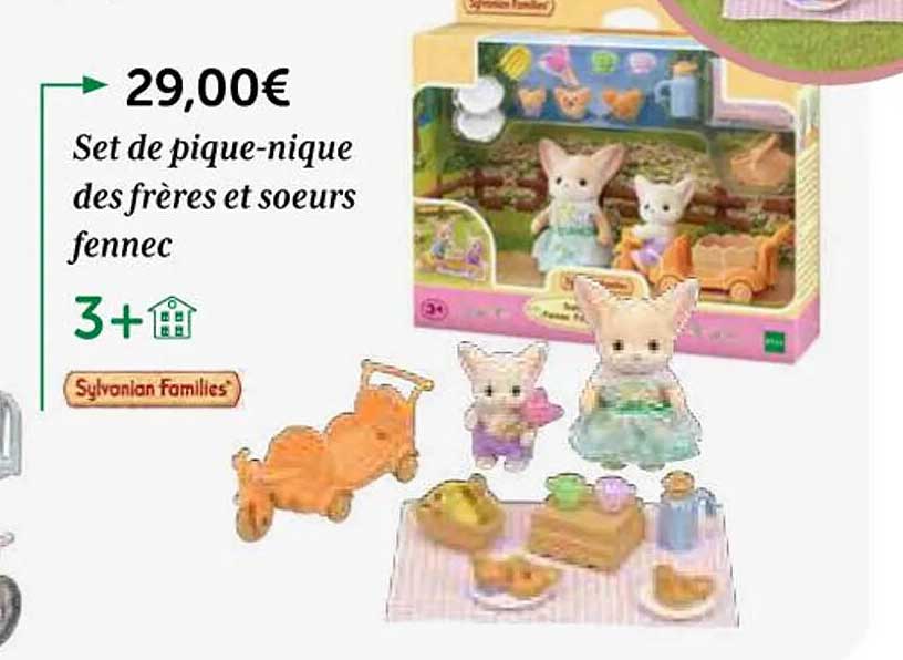 set de pique-nique des frères et sœurs fennec