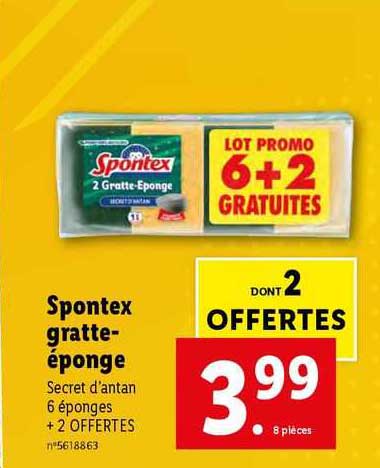 spontex gratte-éponge