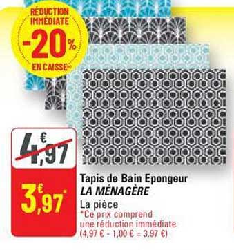 Tapis De Bain épongeur La Ménagère