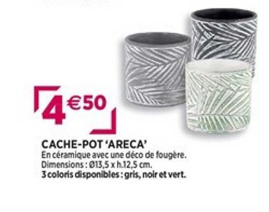 cache-pot "areca"