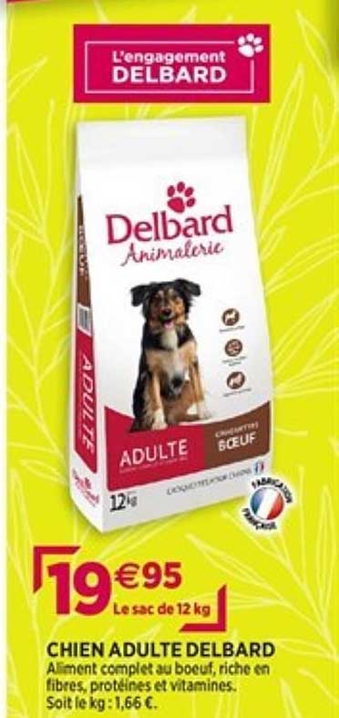 chien adulte delbard