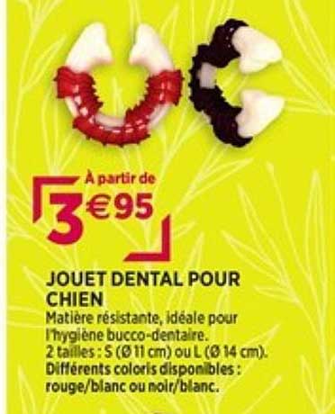jouet dental pour chien