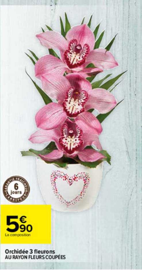 orchidée 3 fleurons
