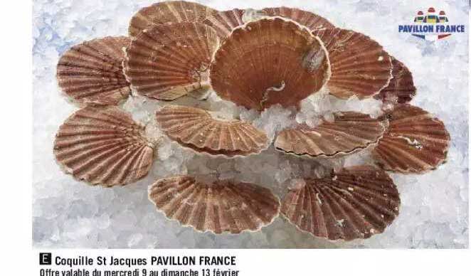coquille st jacques pavillon france