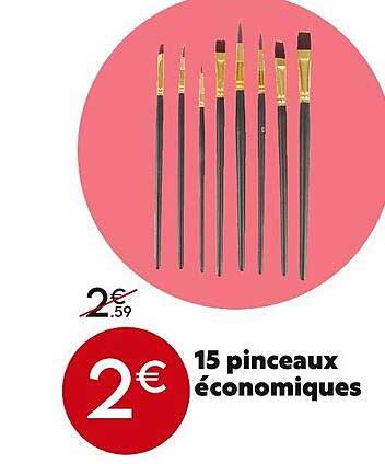 15 pinceaux économiques