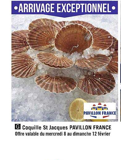 coquille st jacques pavillon france