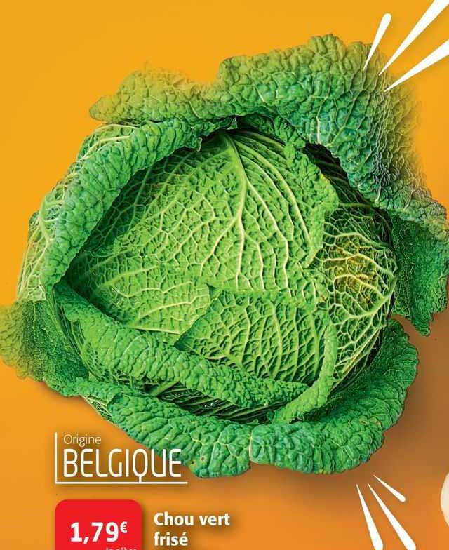 chou vert frisé