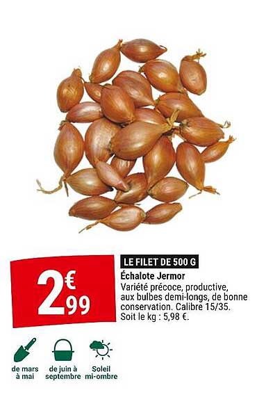 échalote jermor