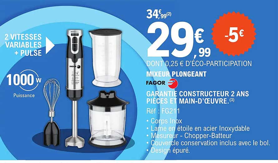 Mixeur Plongeant Fagor