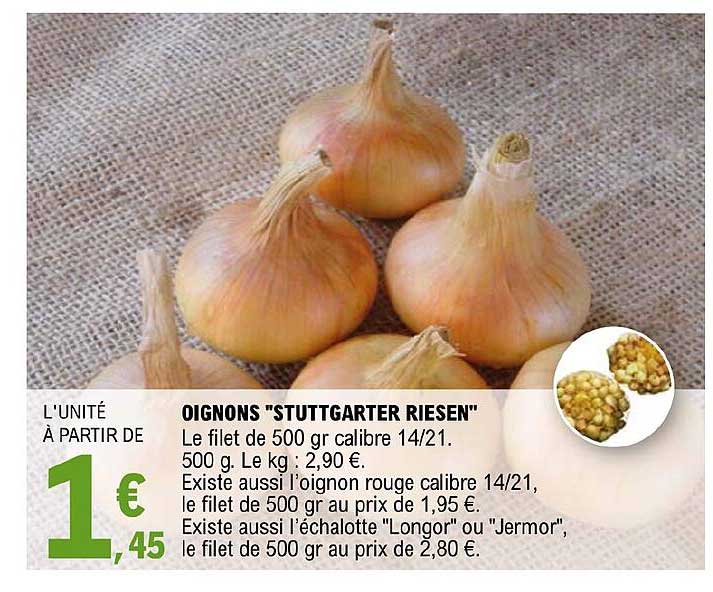 oignons "stuttgarter riesen"