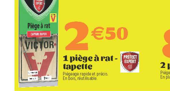 1 Piège à Rat - Tapette Protect Expert