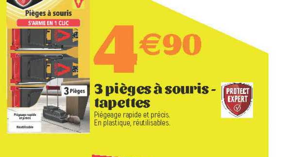 3 pièges à souris - tapettes protect expert