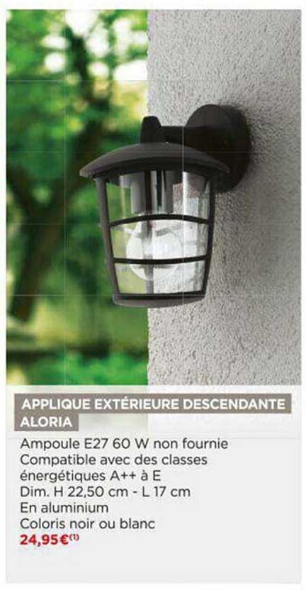 applique extérieure descendante aloria