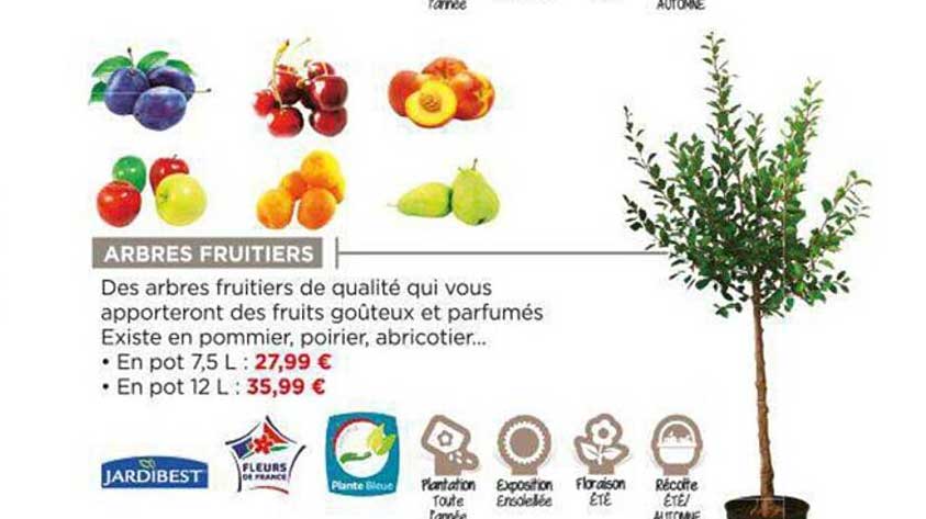 arbres fruitiers jardibest