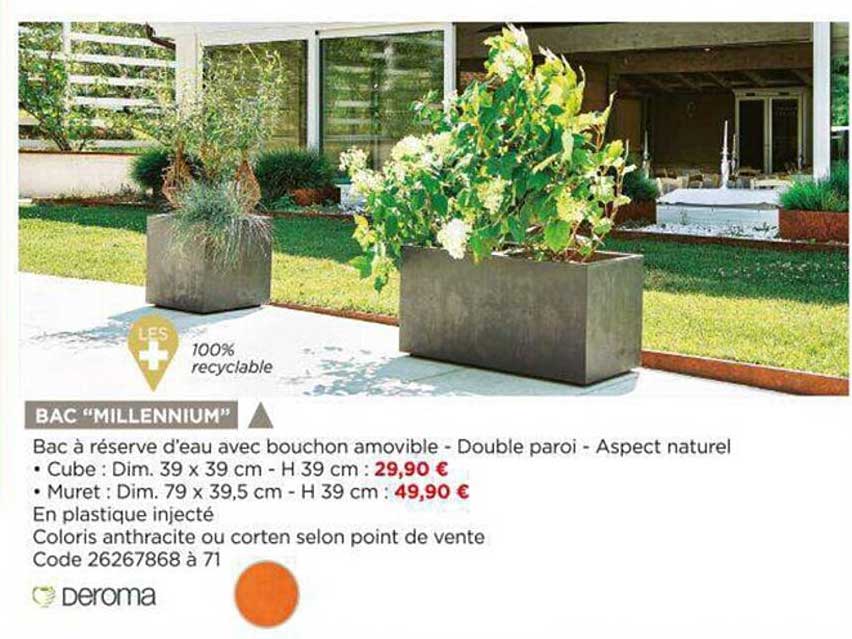 bac "millennium" deroma