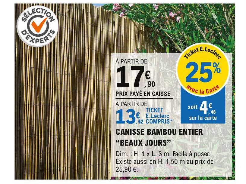 canisse bambou entier "beaux jours"