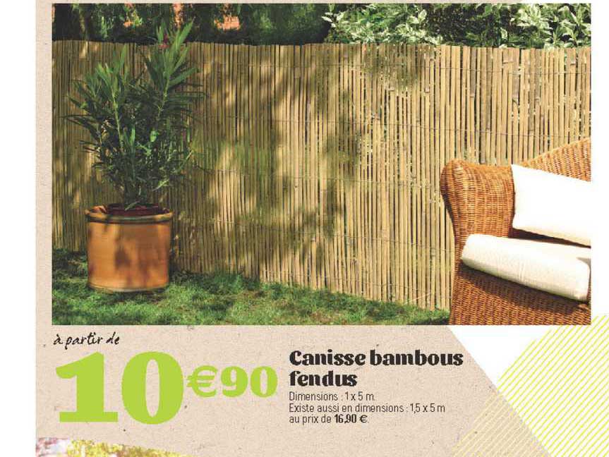 canisse bambous fendus