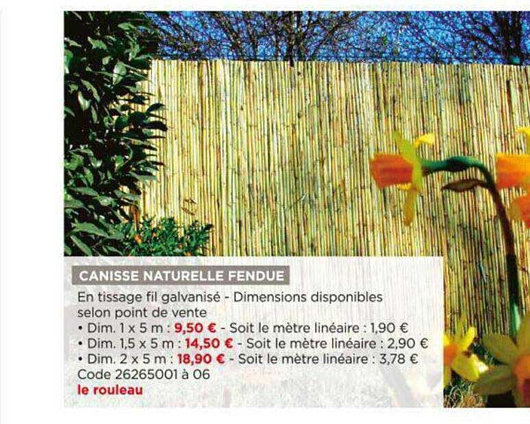 canisse naturelle fendue