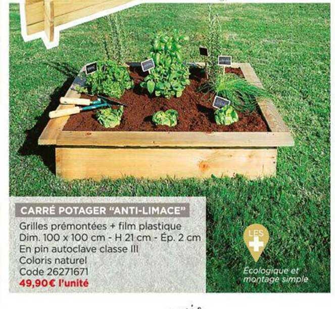 carré potager "anti-limace"