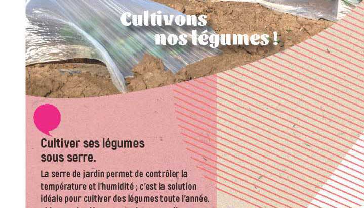 cultiver ses légumes sous serre