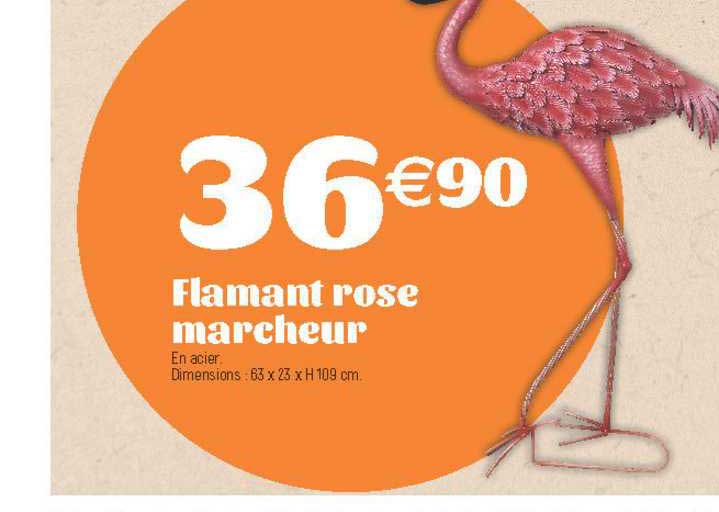 flamant rose marcheur