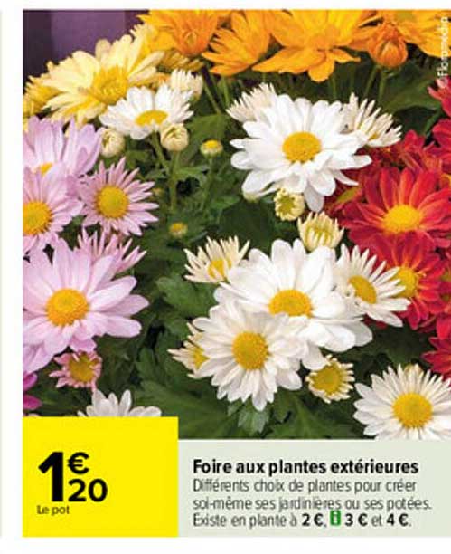 foire aux plantes extérieures