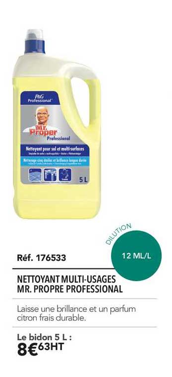 nettoyant multi usages mr. propre professional