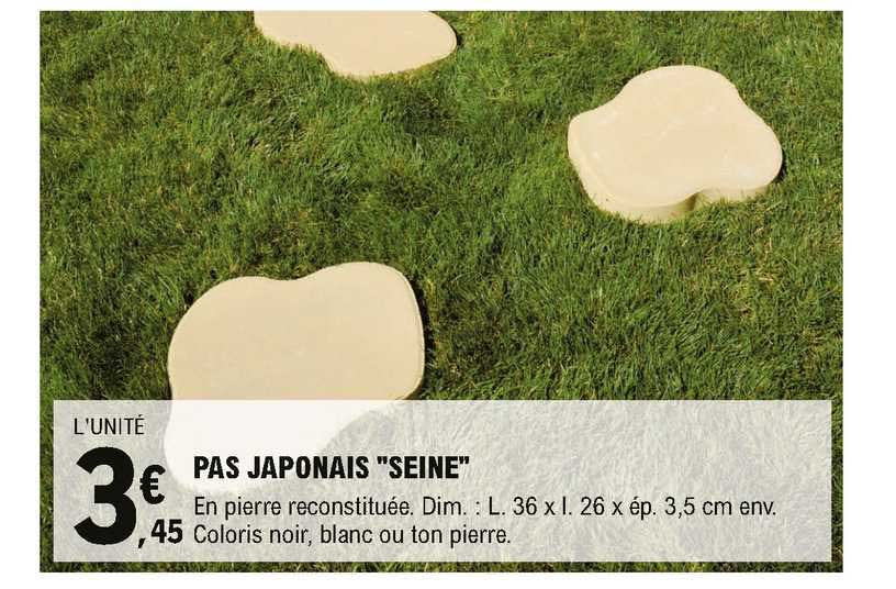 Pas Japonais "seine"