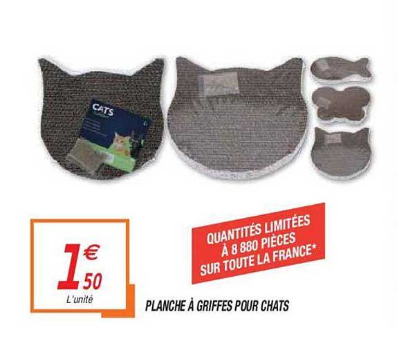 planche à griffes pour chats