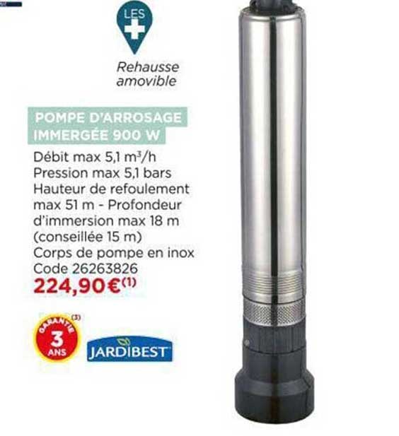 Pompe D'arrosage Immergée 900 W Jardibest