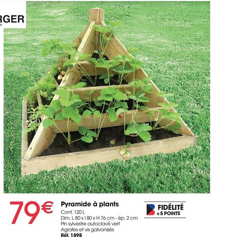 pyramide à plants