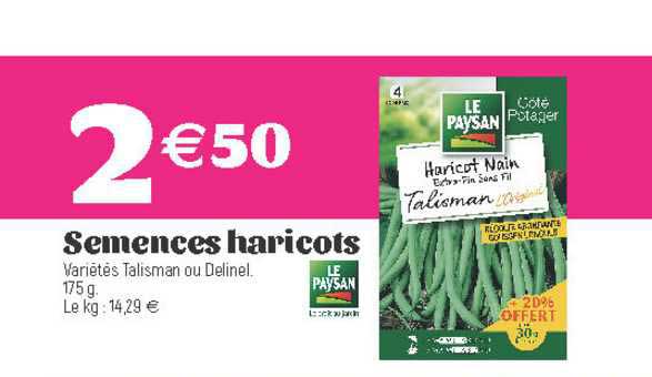 semences haricots le paysan