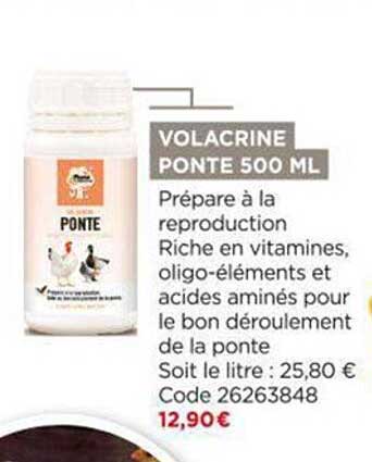 volacrine ponte 500 ml