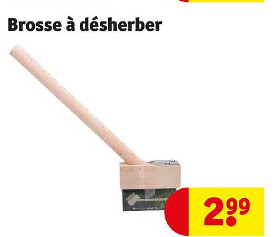 Brosse à Désherber
