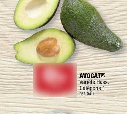 Avocat