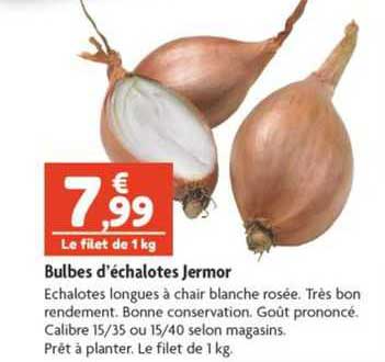 bulbes d'échalotes jermor