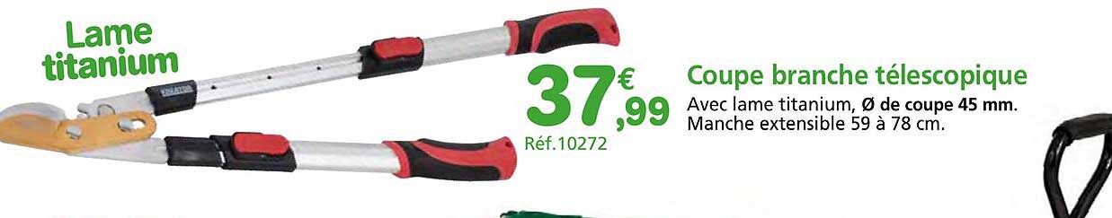 Coupe Branche Télescopique