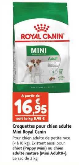 croquettes pour chien adulte mini royal canin