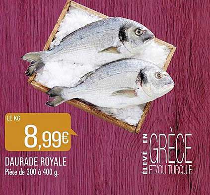 Daurade Royale
