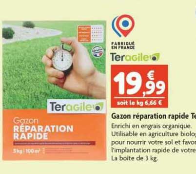 gazon réparation rapide teragile