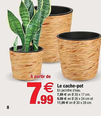 Le Cache-pot