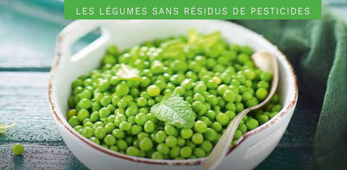 les légumes sans résidus de pesticides