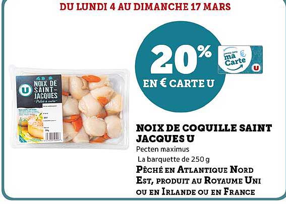 noix de coquille saint jacques u