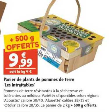 panier de plants de pommes de terre "les intraitables"